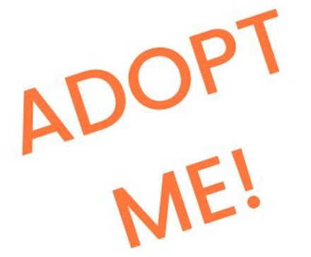 text saying Adopt Me!