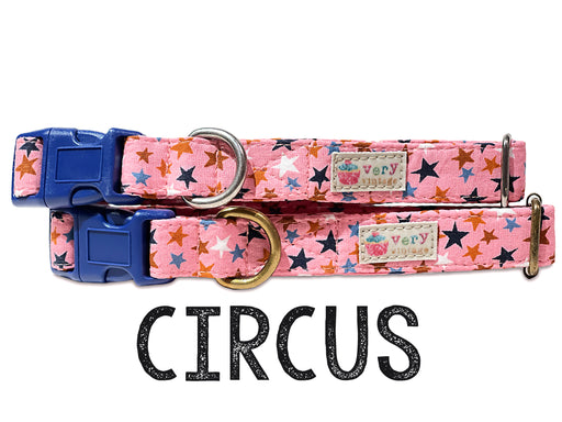 Circus - Organic Cotton Kitten Collar - Navy Blue Buckle/Antique Silver Hardware