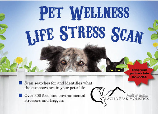 Glacier Peak Holistics Pet Wellness Life Stress Scan