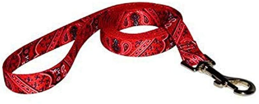 Yellow Dog Bandana Red Collar & Leash Bundle