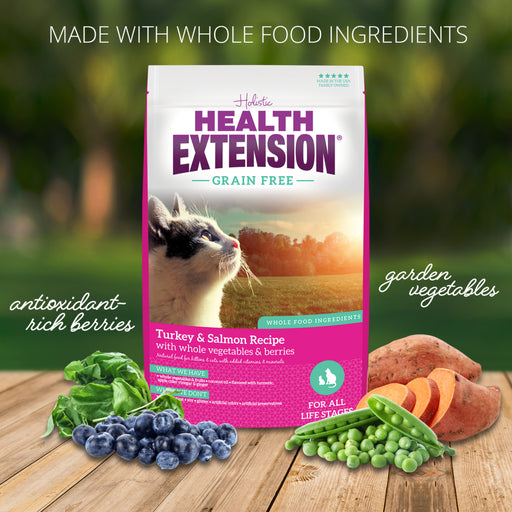 Health Extension Grain Free Turkey Salmon Recipe Dry Cat Food
