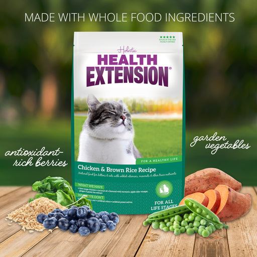 Health Extension Chicken & Brown Rice Recipe Dry Cat Food