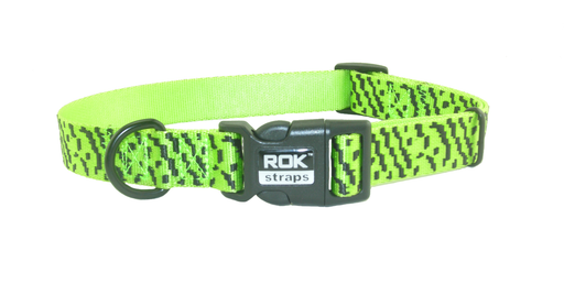 Rok Straps Medium Dog Collar