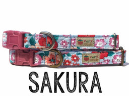 Sakura - Organic Cotton Kitten Collar - Dark Pink Buckle/Antique Silver Hardware